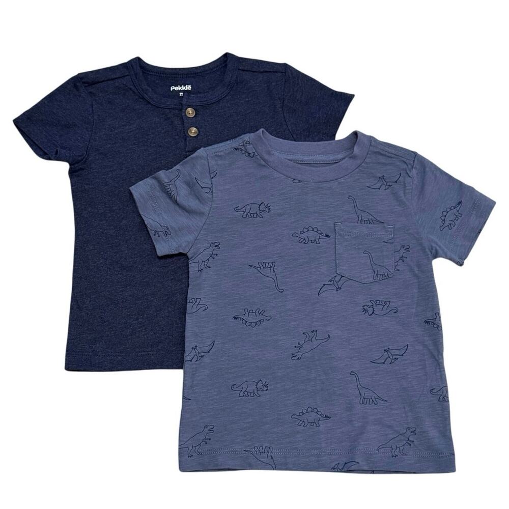 NWOT Set of Two 2T Toddler Tee Shirts‎ Dinosaurs